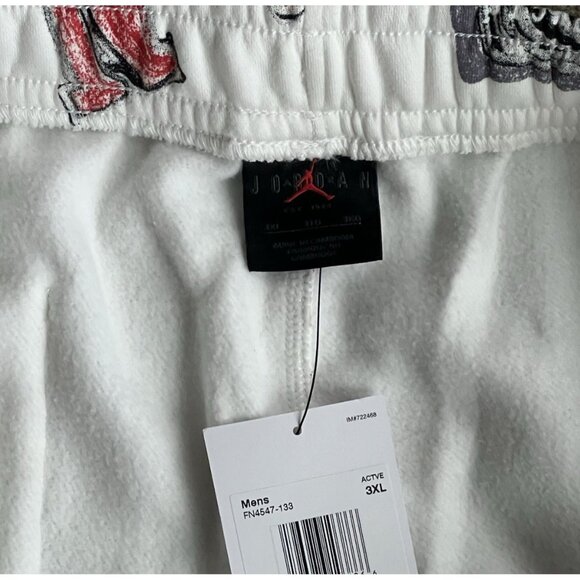 Air Jordan Brooklyn Chicago Bulls Nike Fleece Pants Size 3XL FN4547-133 NWT - Picture 6 of 6